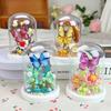 Insect Specimen Nanobrick Flower Butterfly Micro Diamond Block Model Construction Brick Educational Toys Display Stand For Gifts