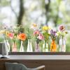 Flower Vase Window Cling Removable Waterproof PVC Floral Plants Container Static Glass Sticker Home Living Room Bedroom Decoration Decal