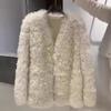 Autumn and Winter New Fur Integrated Lamb Plush Imitation Fur Coat Women's Coat Short Curly Top