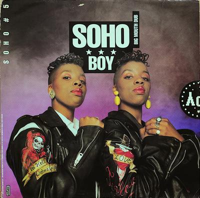 12inch Record SOHO  Boy 12SAV103 S And M 198 UK Dance  Electronica Used