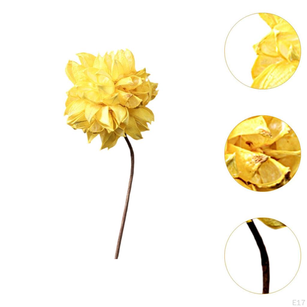 Dried Flower Arrangement in Vase, DIY Centerpiece for Bedroom and Event Decor