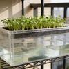 100-500Pcs Hydroponic Sponges Gardening Tool Square Soilless Cultivation Plant Seedling Greenhouse Sponge Vegetable Bud Growth