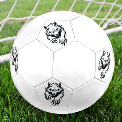 Fußball – Fußbälle
