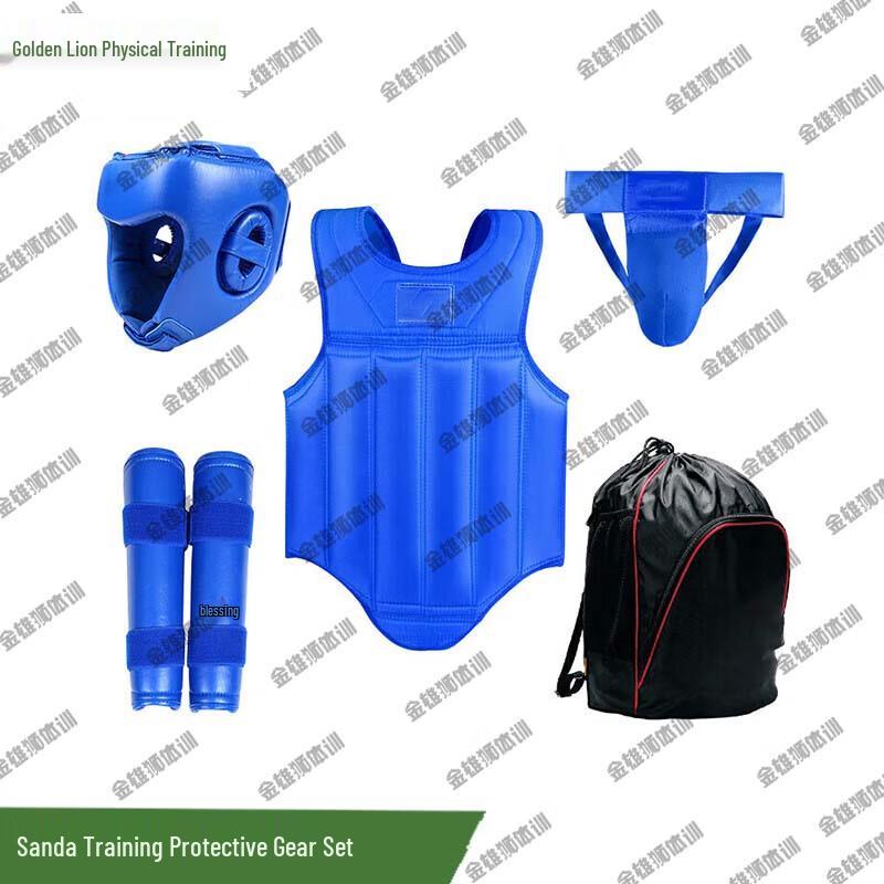 Golden Lion Combat Sports Protective Gear Set