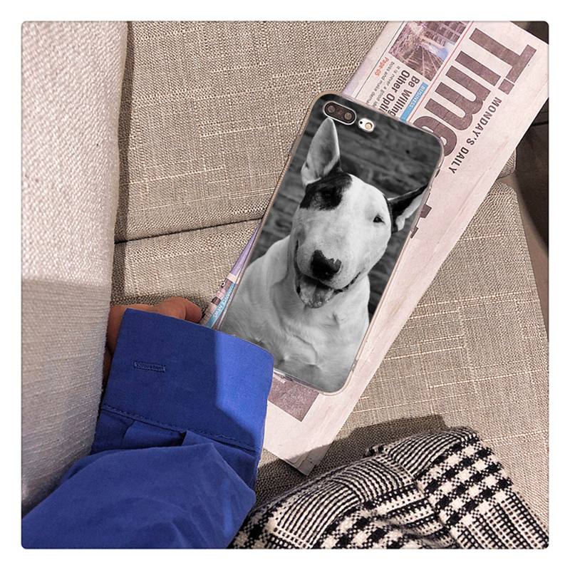 Bullterrier Bull Terrier Dog Phone Case For iPhone 13 X XS MAX 6 6s 7 7plus 8 8Plus 5 5S Se 2020 XR 12 11 Pro Max Fundas Capa