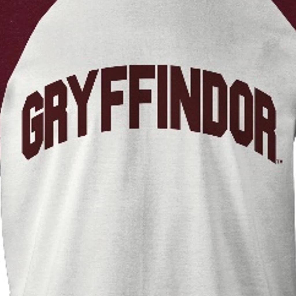 Harry Potter Mens Gryffindor T-Shirt