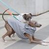 Waterproof Sunscreen Pet Vest New Spring/Summer Lightweight Outdoor Rainproof Vest Dog Hooded Clothes