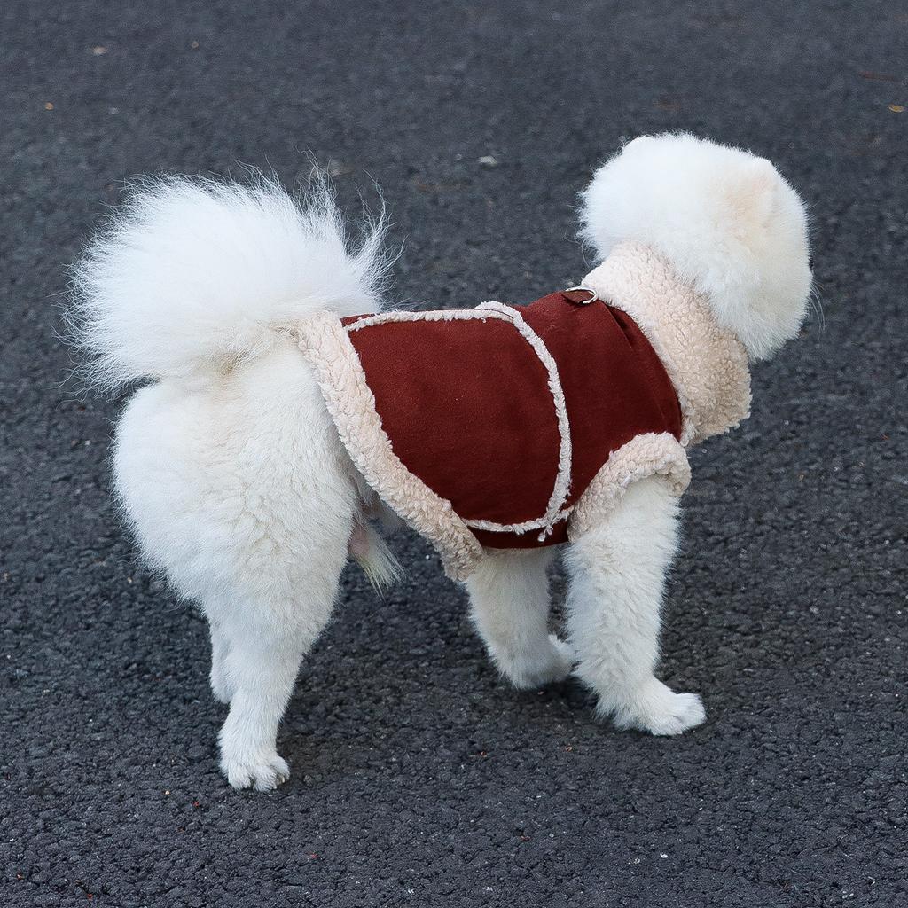 Dog Jackets Warm Plush Dog Vest for Winter Soft Fleece Lining Sweater for Small Dog Cat Cute Puppy for Autumn Winter Cold Weathe