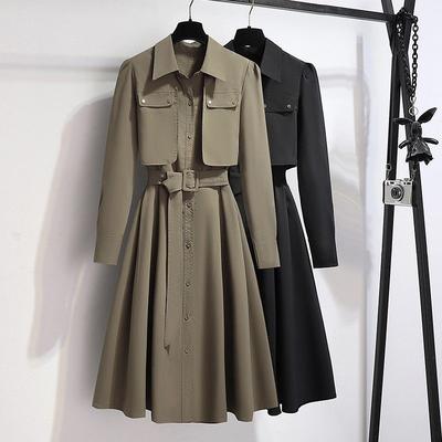 Shirt Dress Design Autumn All-match Fashion Temperament Collar Fake Thin Skirt