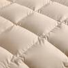 Yamian Premium 90% White Goose Down Winter Quilt