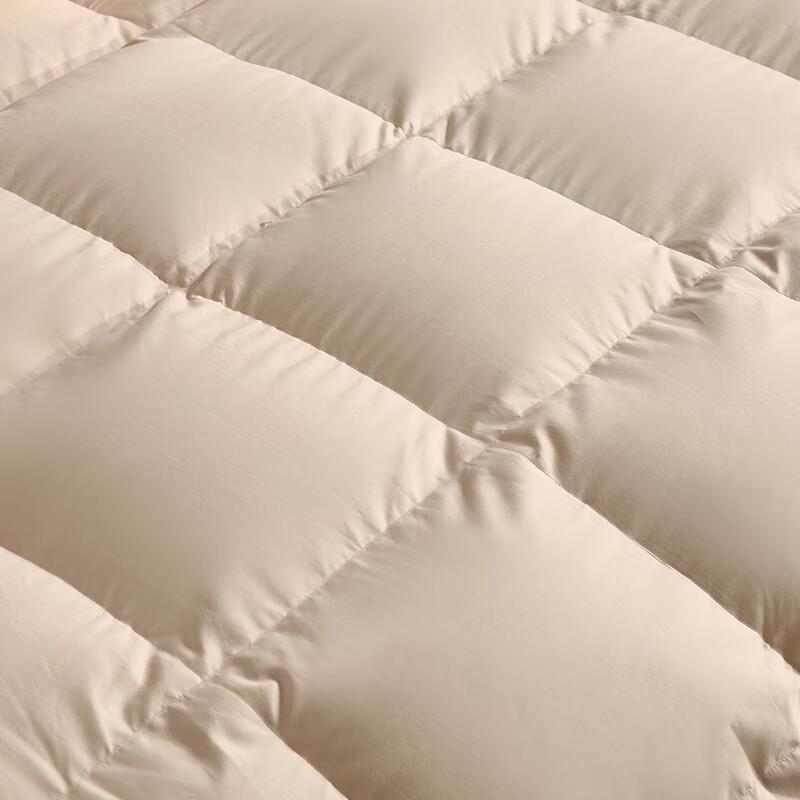 Yamian Premium 90% White Goose Down Winter Quilt