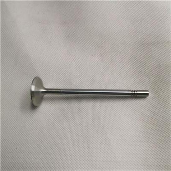 Compatible with Foton Intake Valve SPV10001497E9300