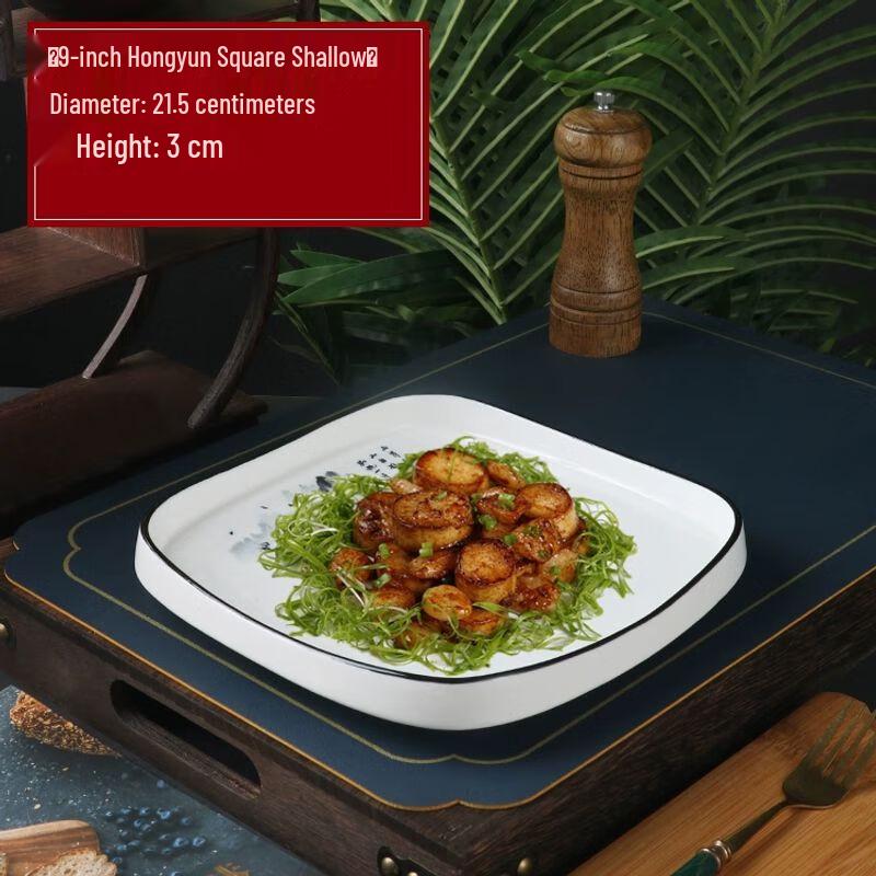 Irregular Ceramic Dinner Plate