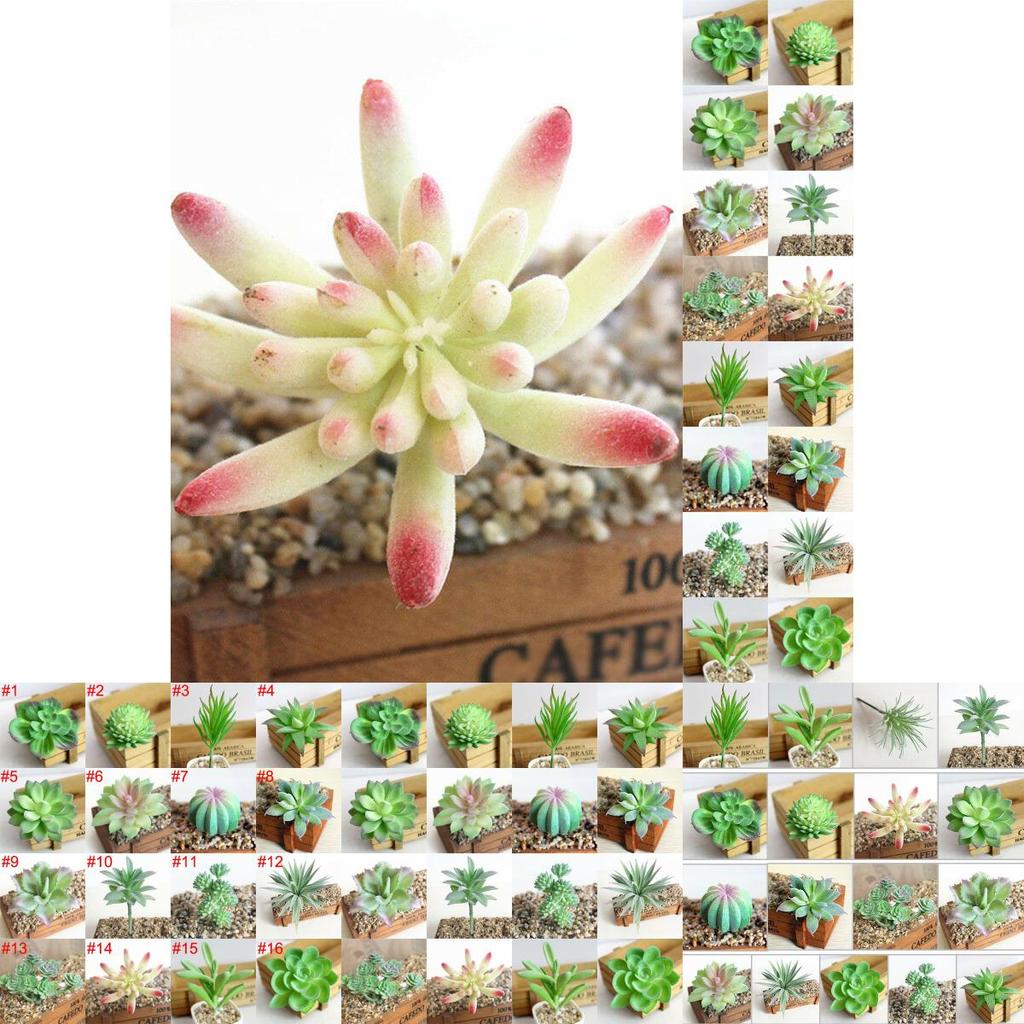 Compact Realistic-looking Fake Succulent For Indoor And Outdoor Decoration