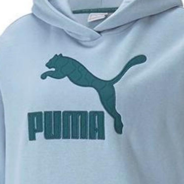 Puma Logo Kapuzenpullover Lässiger Sweatshirt Damen Sweatshirt Blau 539278-79