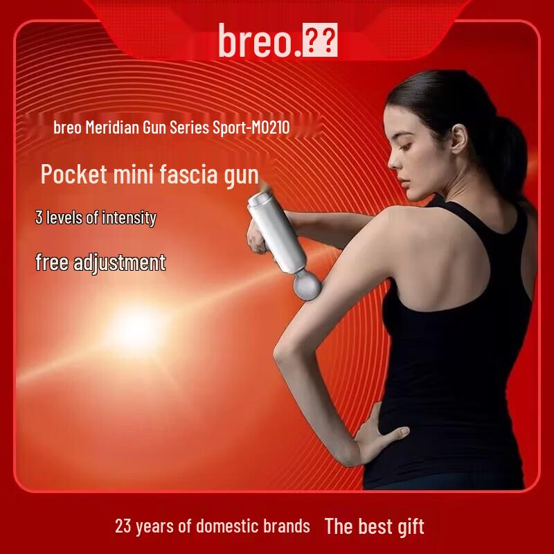 Breo Mini Massage Gun