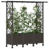 Raised Garden Bed with Trellis and Roof Brown 162.5 X 40 X 142 Cm PP