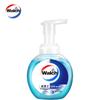 Walch Antibacterial Foaming Hand Soap