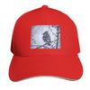 Blue Jay Baseball Cap Visor Beach Bag Golf Cap Sunhat Sun Hats For Women Unisexs
