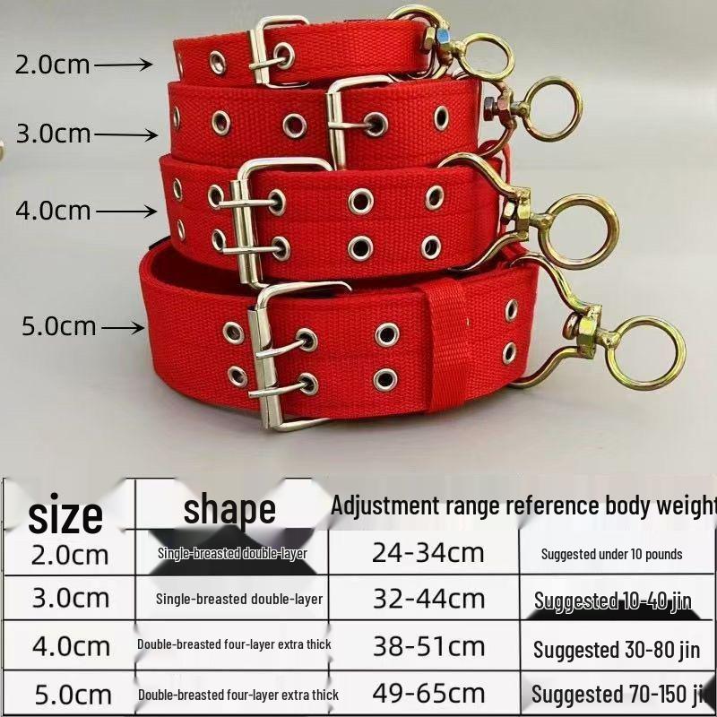 Collare Grande per Cani di Taglia Media-Piccola - Golden Retriever, Pastore Tedesco, Malinois Manicotto per il Collo Protezione per la Testa