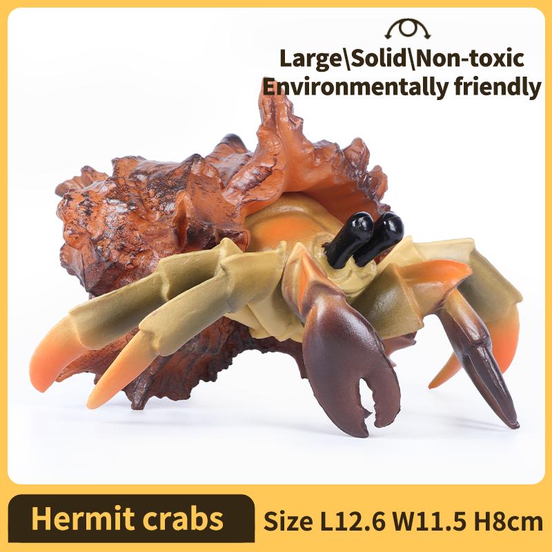 Hermit Crab Figurine Sea Life Animals Model Figure Educational Toy Boys Girls Kids Ages 18M for and Kid Friendly Entertaining Fun Play Safe
