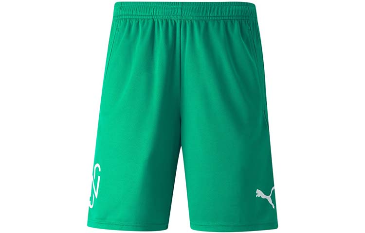 PUMA Sports Shorts Unisex Green Moderate 605570-07 XL