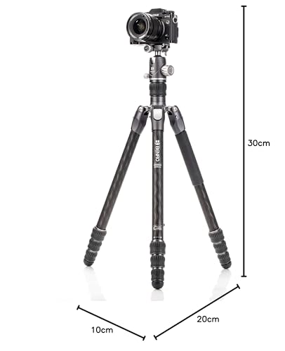 BENRO Rhino Carbon Fiber Travel Tripod with Pan Head, Lightweight and Foldable (FRHN24C + VX25 2-Type, 4-Section)