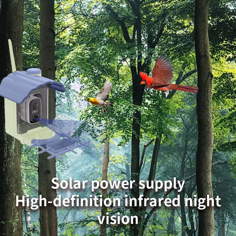 Smart Solar Bird Feeder Camera with Custom Hummingbird Feeder