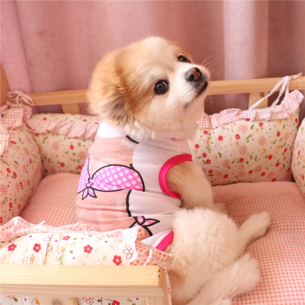 New Pet Dog, Pectoral Bikini Vest, Teddy Bigbear Pomeranian