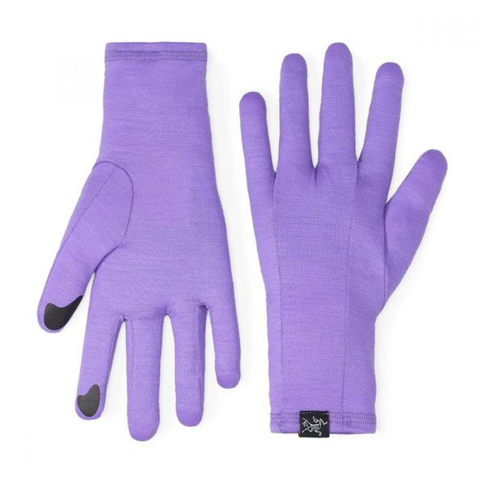 Arc Teryx Fw25 Gothic Glove Aepfu06539