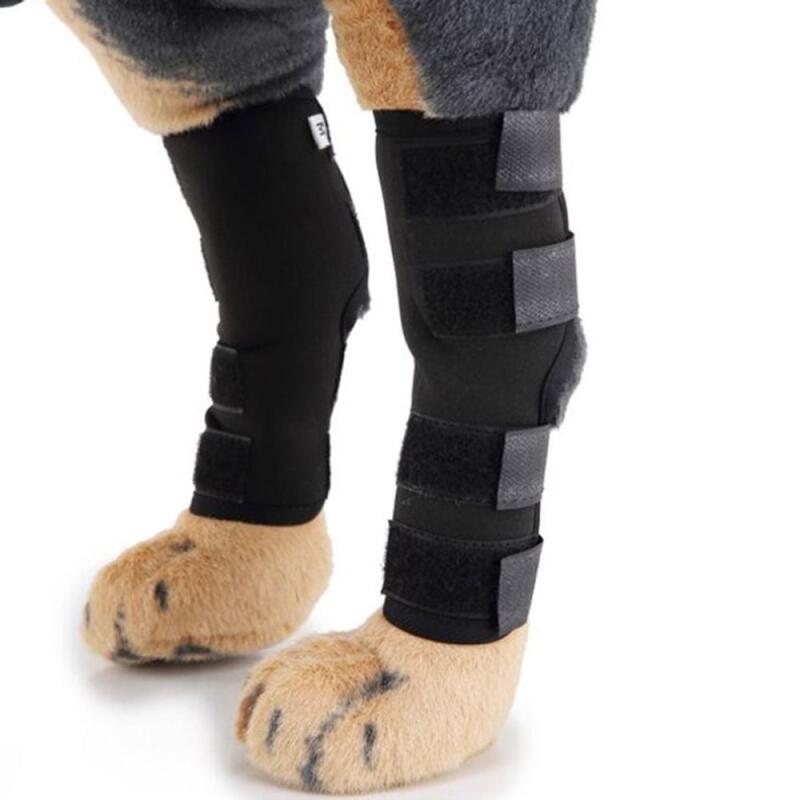 Dog Patellar Joint Protector S 2-piece Set
