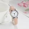 Quartz Watchesfor Women Ladies Small Dial Casual Watch Leather Wristwatch
