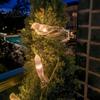 Decorative Solar Garden Lights Bird String Lights, Outdoor Waterproof Light, Warm Glow LED Light for Patio Balcony Lawn Decor Maintenance Free