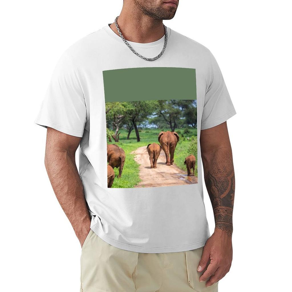 Tanzania Tarangire National Park Elephants TShirt Basic Solid Color Casual Tee Shirt