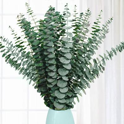 Decorațiuni pentru casă – Flori decorative şi coroane de flori