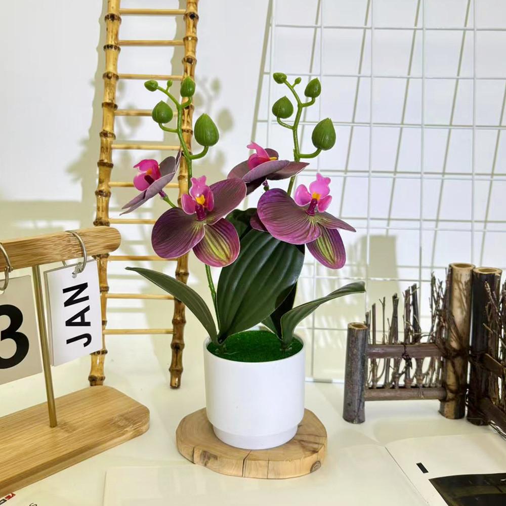 Artificial Phalaenopsis Flowers Decorative Plant For Home And Decoration Event