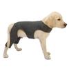 New Pet Dog Dog Protective Gear Dog Hind Leg Double Protective Cover To Prevent Licking and Biting After Surgery Auxiliary Leg Cover