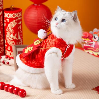 Kleiner roter Umschlag Katze, um sich im Winter warm und festlich zu halten Chinesisches Neujahr Chinesisches Neujahr Tang-Kleidung Hundewelpe Yorkshire zweibeiniges Haustier Katzenkleidung