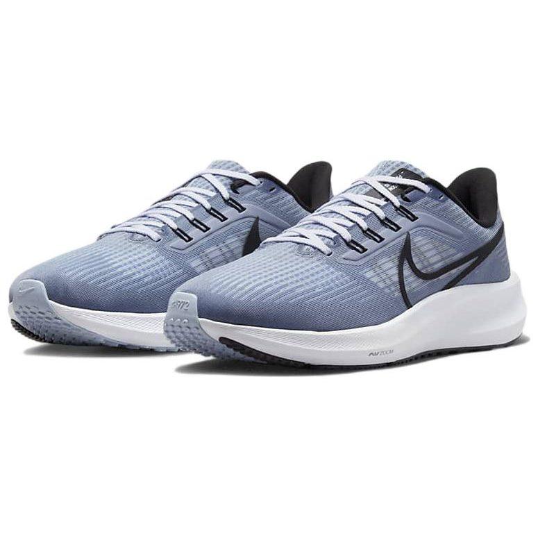 Nike Air Zoom Pegasus 39 Ashen Slate DH4071-401