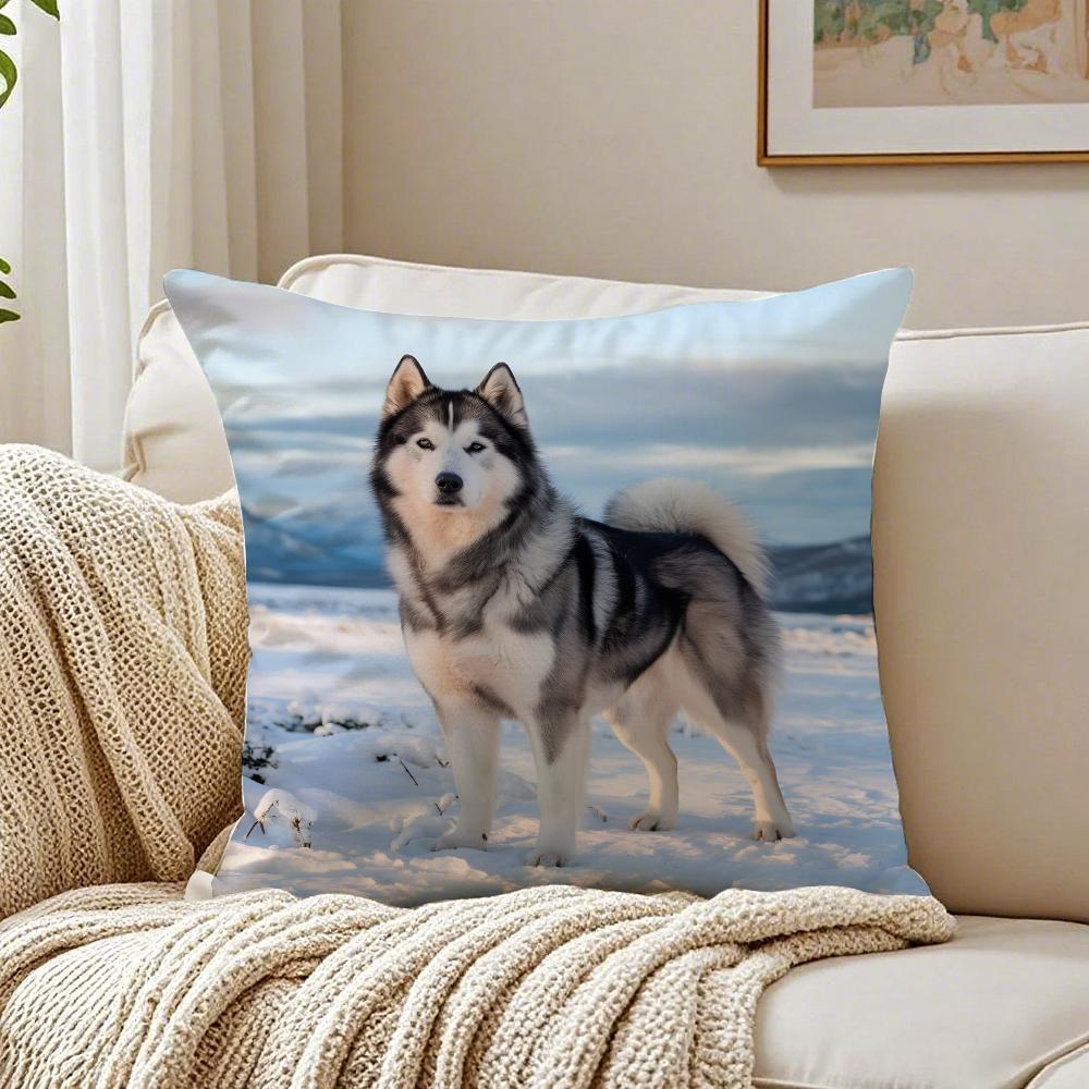CUTE AAlaskan Malamutes Cushion Cover Pillowcase Antidustmite living Room Sofa Decor Cushion Room