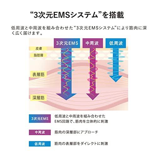 Atex Lourdes EMS Belt Nexa for Legs, Thighs, Lower Abdomen, Buttocks, and Lower Body Exercise AX-FR921sv