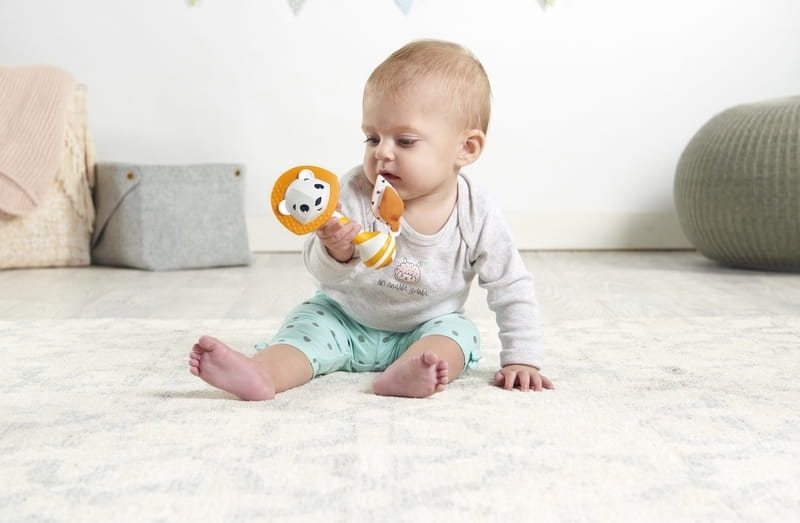 Leonardo The Lion Teether Rattle, Tiny Love