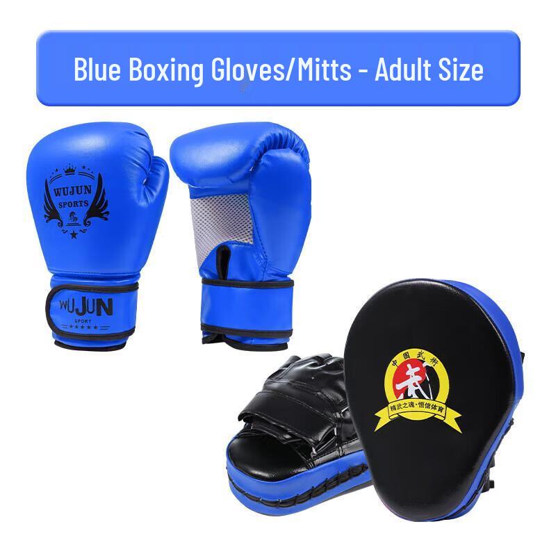 Boxing Gloves and Focus Mitts Training Set