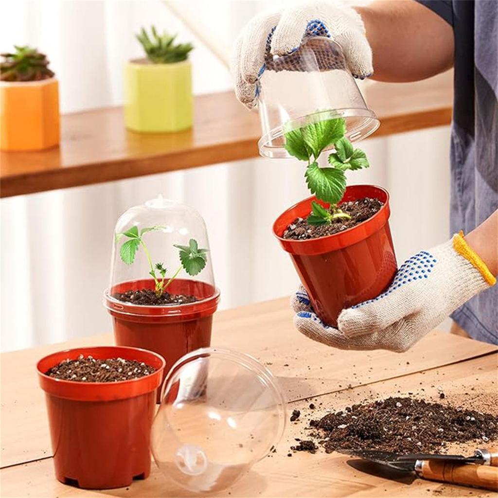 5/10/15/20 Stück Kunststoff-Baumschultöpfe Saataussaattopf Blumentopf Container für Sukkulenten Setzlinge