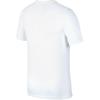 Nike Printed Letter Short Sleeve T-Shirt Men tops CK2305-100