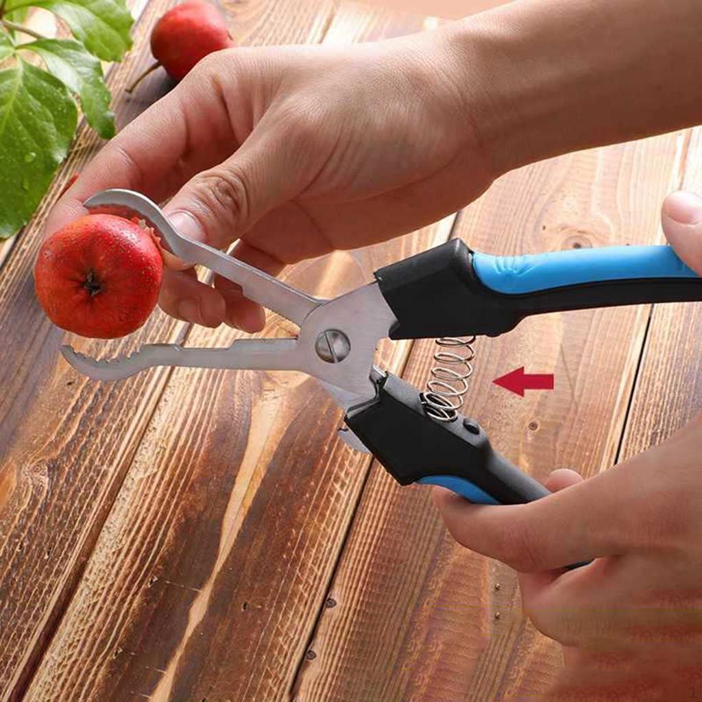 Hawthorn Plier Fruit Core Remove Convenient Multpurpose Separator, Stainless Steel for