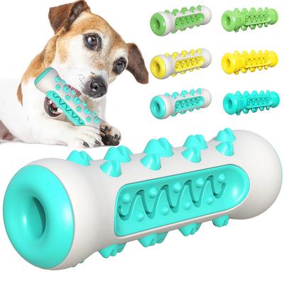 Köpek – Köpek oyuncakları