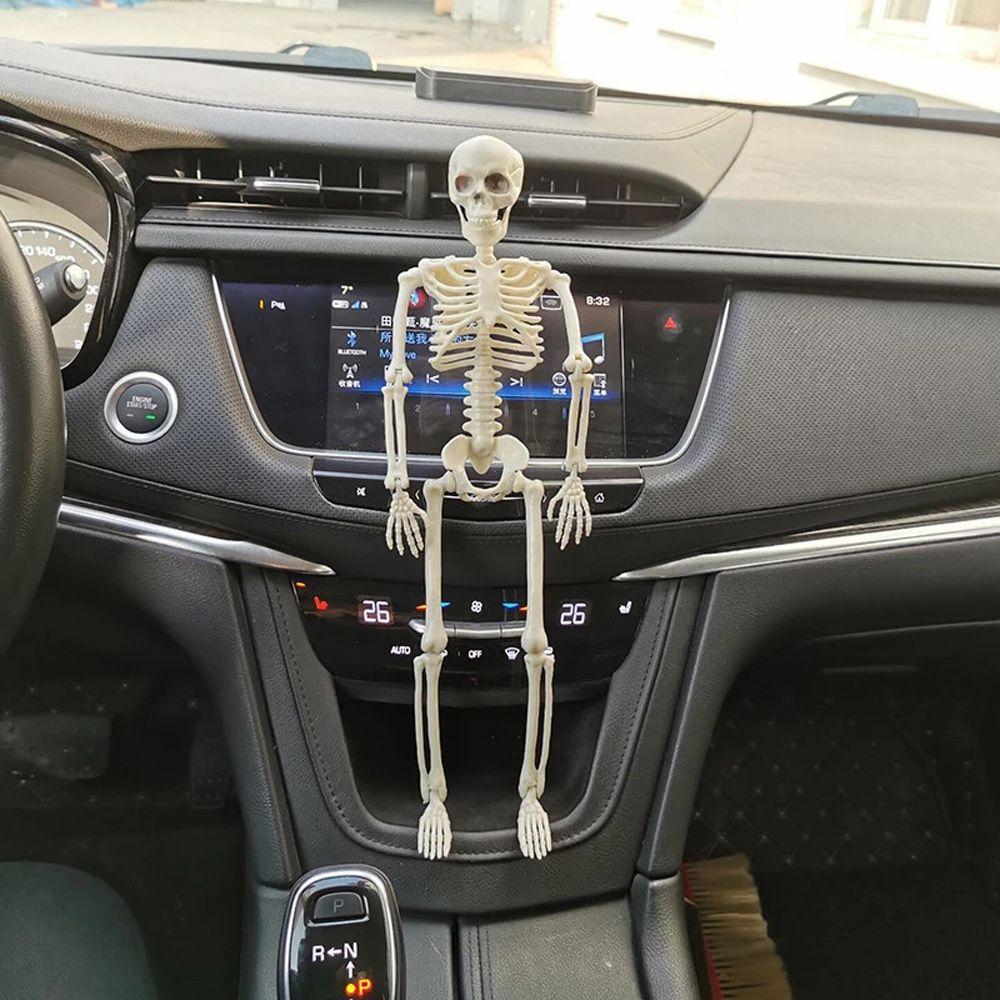 Skeleton Flexible Human Skeleton Model Car Decoration Anatomy Skeleton People Active Model