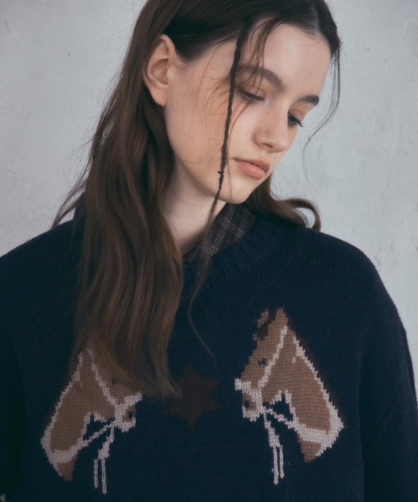 Aueonoseuteljia Rustic Horse Knit_Navy(Oc25-Kn22)