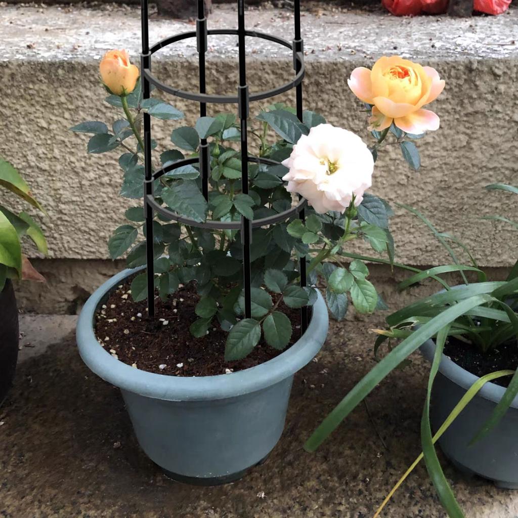 Black Garden Plant Climbing Frame Outdoor Flower Vine Support Rack Trellis for Ivy Roses Vertical Growth Decoration